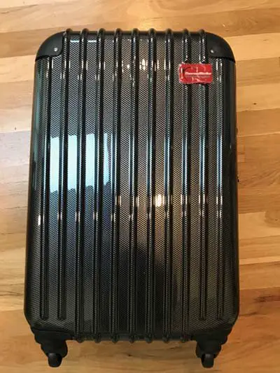 bed bug proof suitcase