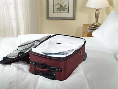 Bed Bugs Luggage Liner